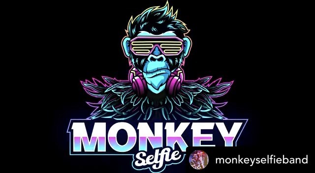 Some highlights from our last MonkeySelfie gig 🐵 📸. #bassist #functionband #party 

Repost • @monkeyselfieband We are still on cloud nine after Beth and Ricky’s amazing, moving and beautiful wedding this weekend - what a perfect day, with so many incredible people!

Thank you for letting us sing and dance with you and be a part of your big day 🎉🐵💥